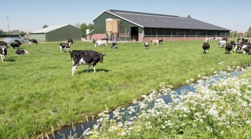 Programmasecretaris aanpak stikstof en duurzame veehouderij