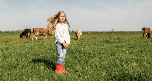 De landbouwtransitie: waarom lossen we het niet gewoon op?