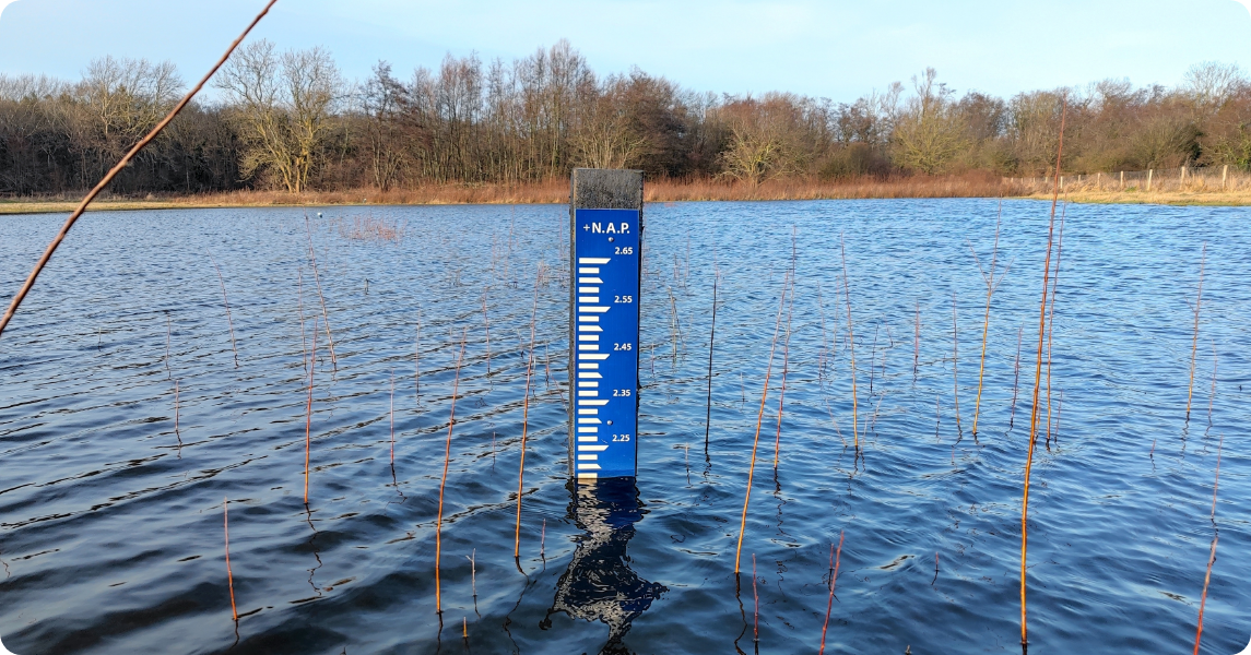 Veranderende bestuurlijke dynamiek bij waterschappen